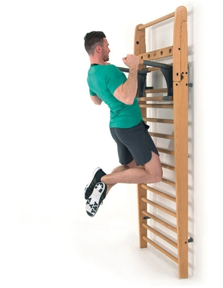 Wallbar Multi-Adaptor Dip Attachment in Club