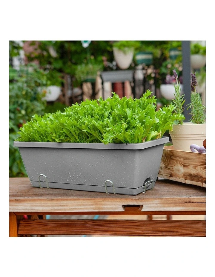 Rectangular Planter Plastic Box with Holder 49.5cm Set of 3 in Grey