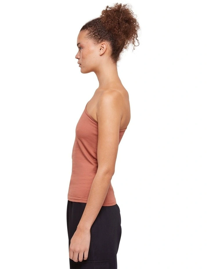 Asymmetric Top in Terracotta