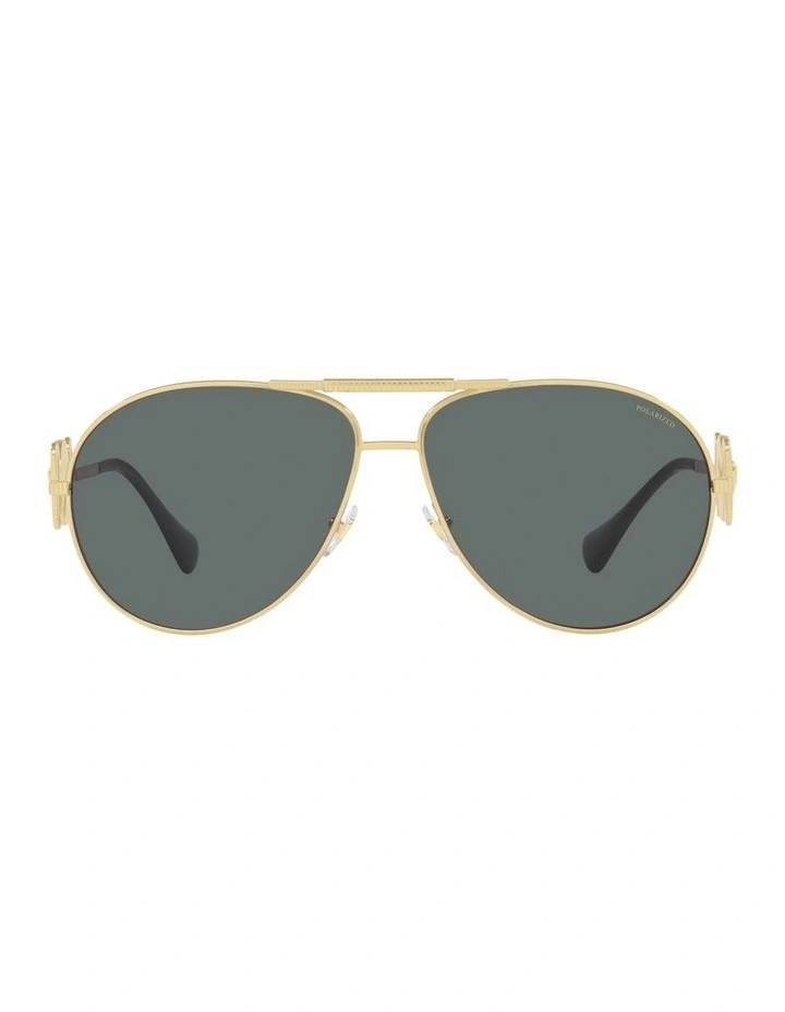 VE2249 Polarised Sunglasses In Gold