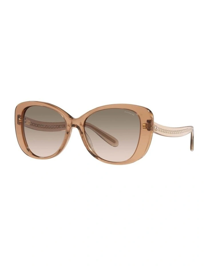 HC8322F C6184 Brown Sunglasses