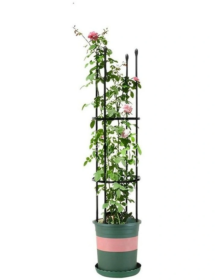 4-Bar Plant Frame Stand Vine With Rings 103cm in Black
