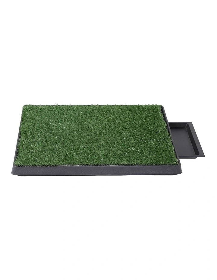 Indoor Large Potty Pad in Green