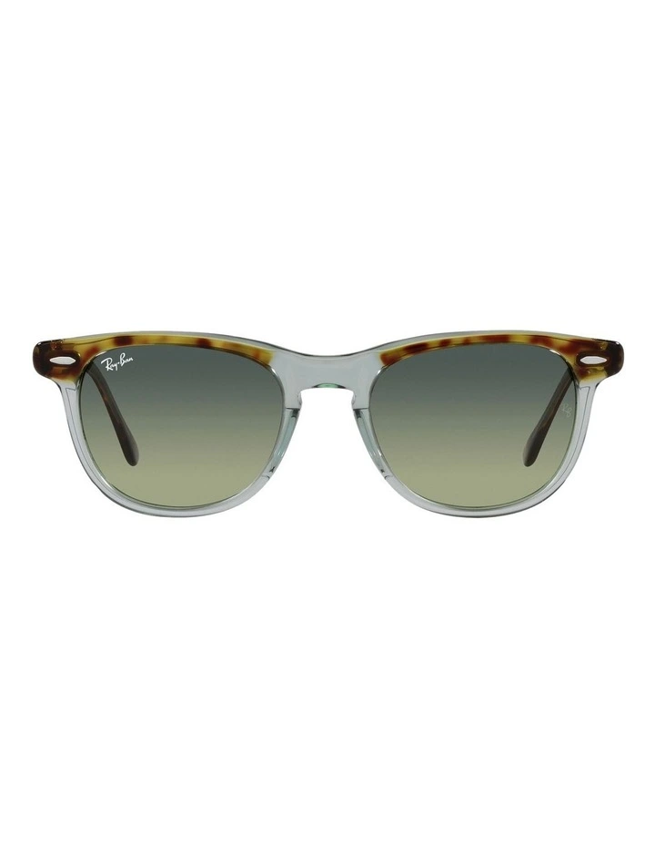 Eagle Eye Sunglasses in Brown