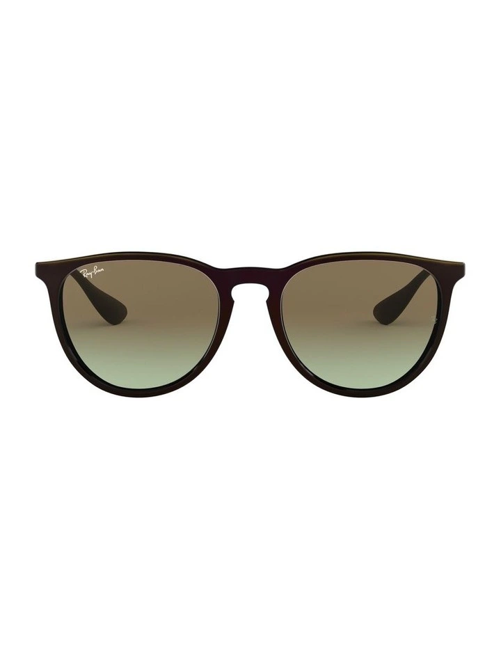 Erika Black RB4171 Sunglasses