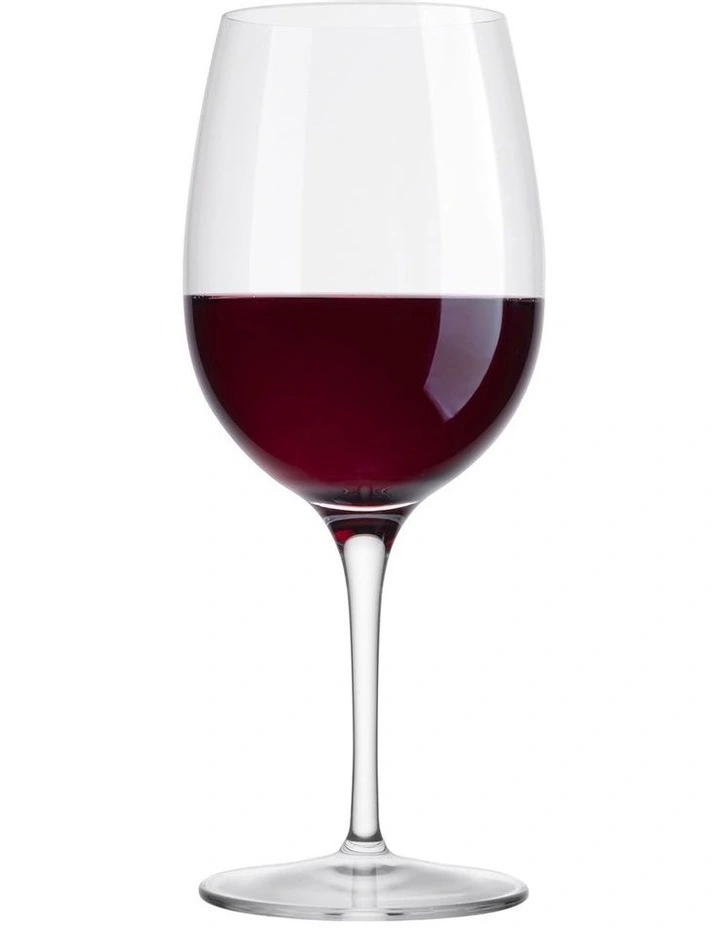 Palace Goblet Glass 480ml Set of 6 in Clear