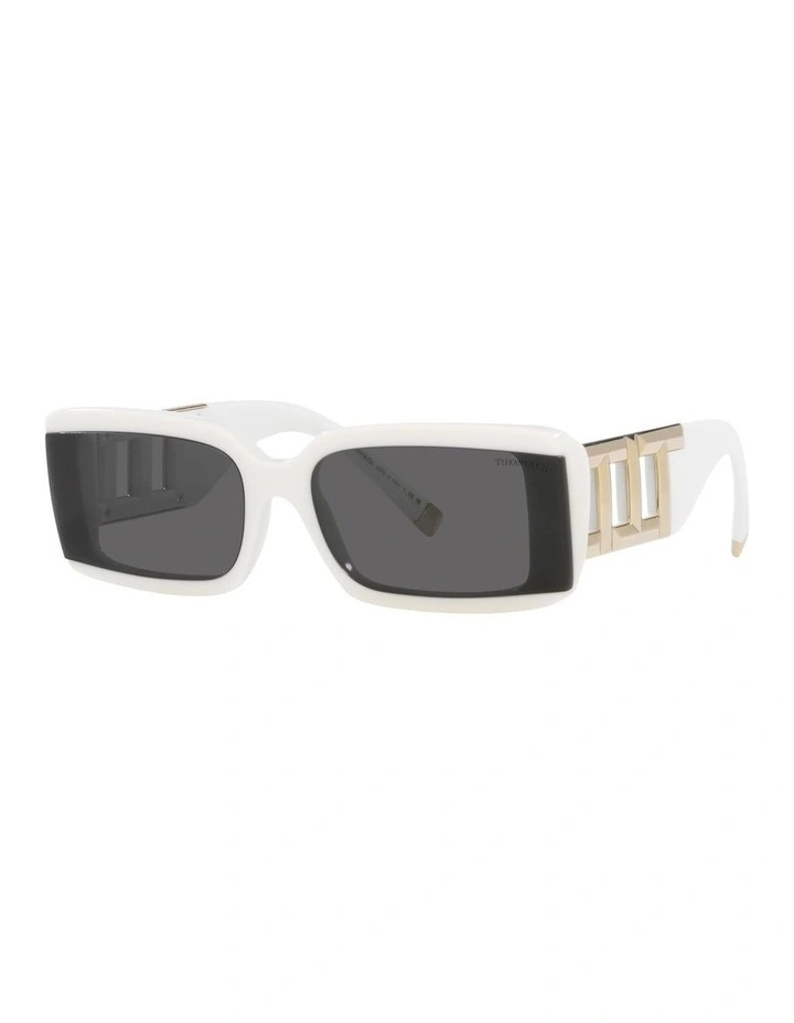0TF4197 Sunglasses in Solid White