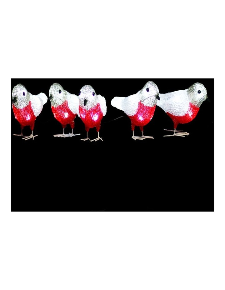 Acrylic Baby Bird Christmas Lights 5 Pieces Set