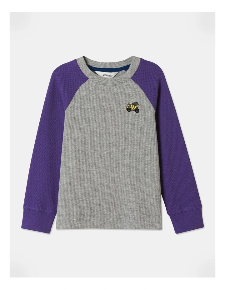 Long Sleeve Waffle Raglan Tee in Purple