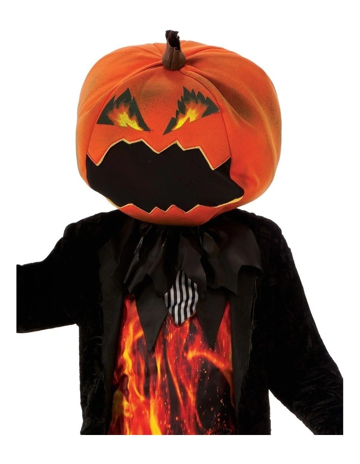 Mr Pumpkin Costume