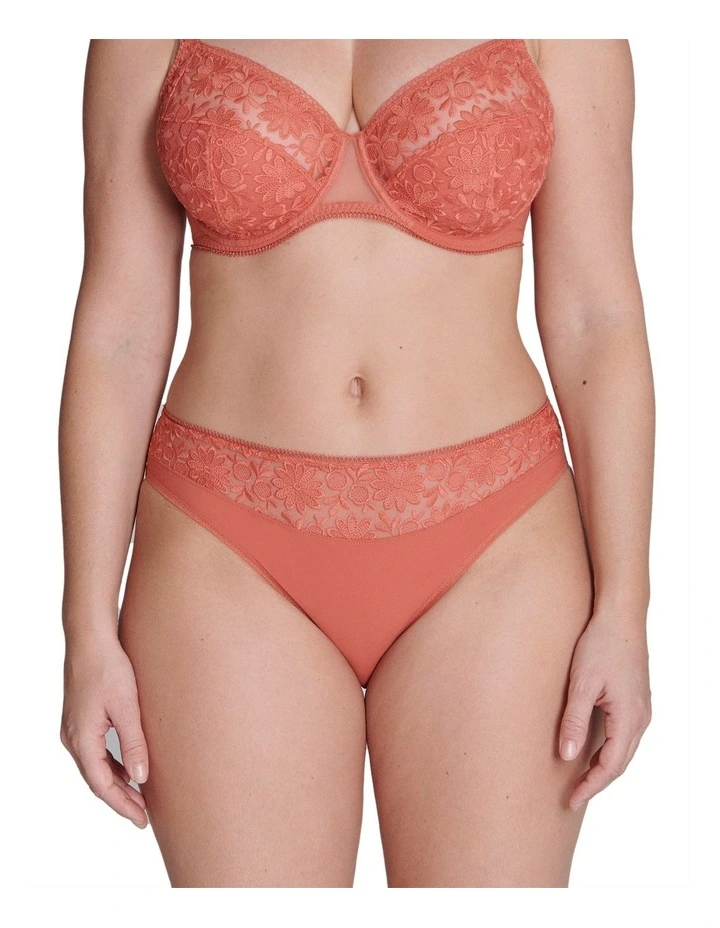 Amazone Bikini Brief in Pink