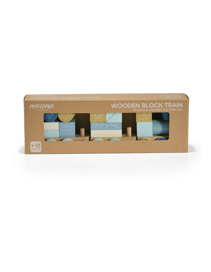 Essentials Blocks Train Set