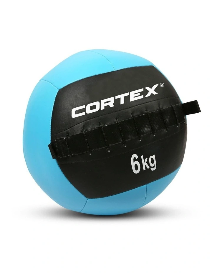 Wall Ball 6kg in Blue