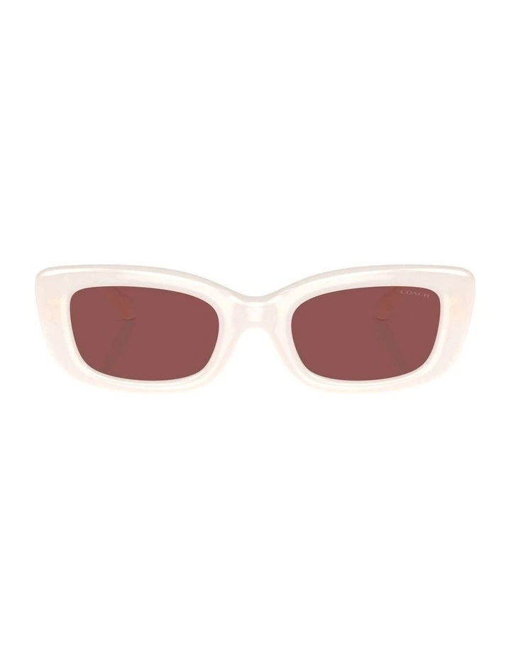 CR610 Sunglasses in White