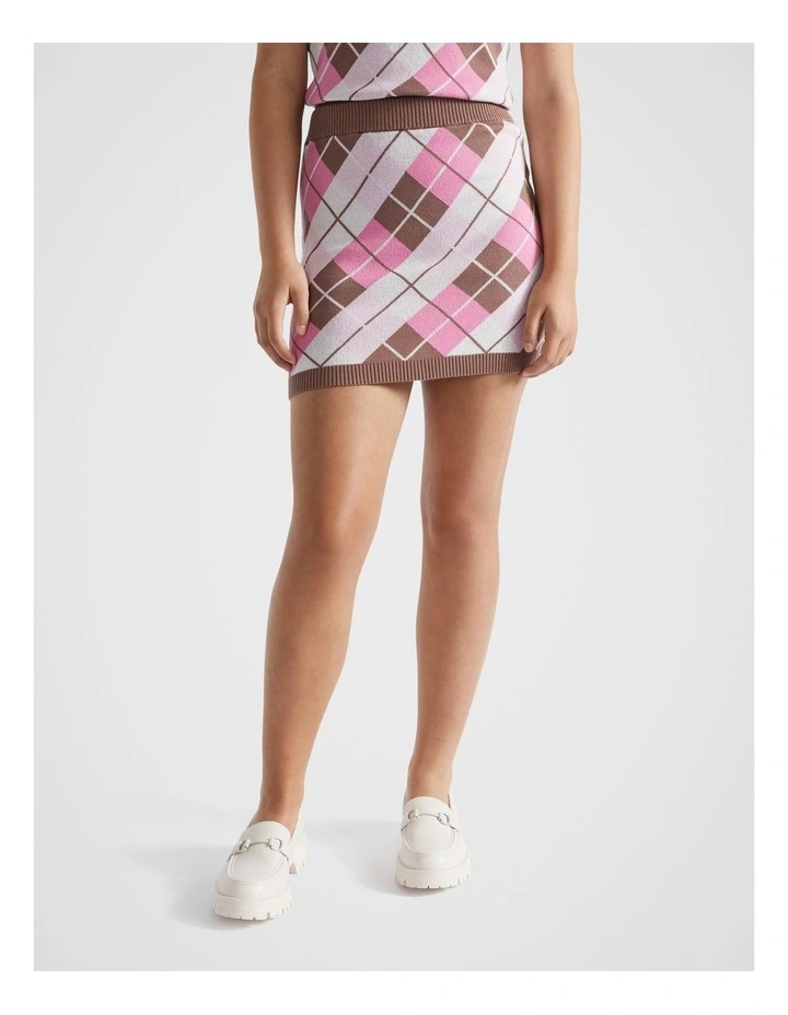 Argyle Knit Skirt in Multi