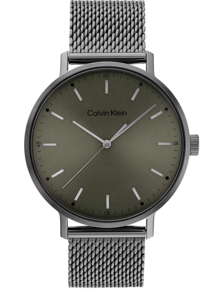 Modern Mesh Ionic Plated Grey Steel Watch 25200048