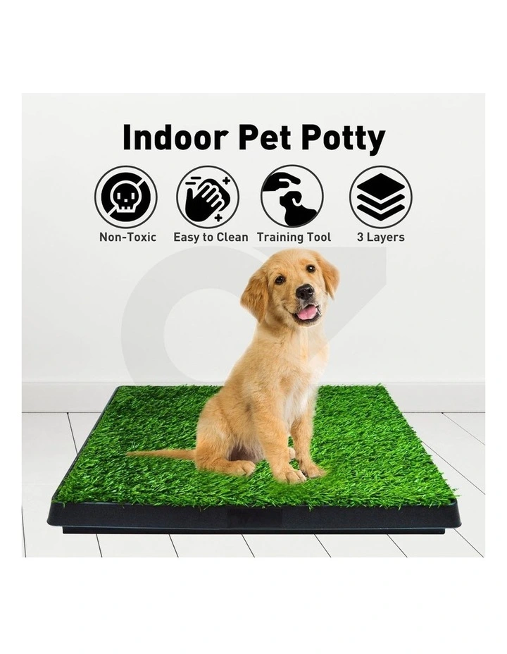 Pet Grass Training Potty 63x50cm