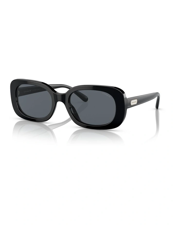 CD471 Sunglasses in Black