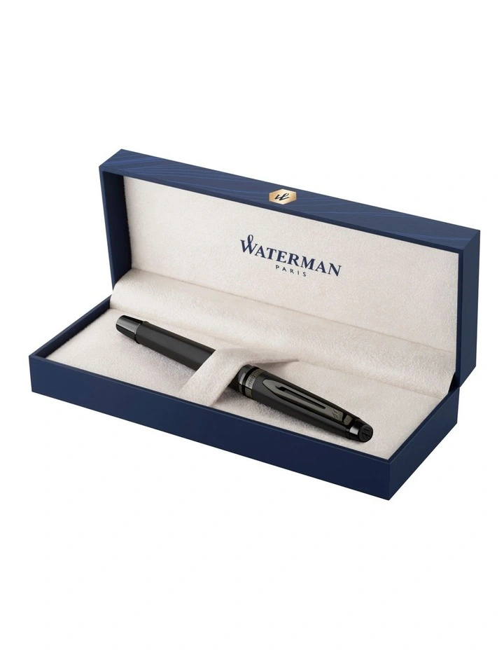 Waterman Expert Metallic Black Lacquer with Ruthenium Trim Fountain Pen