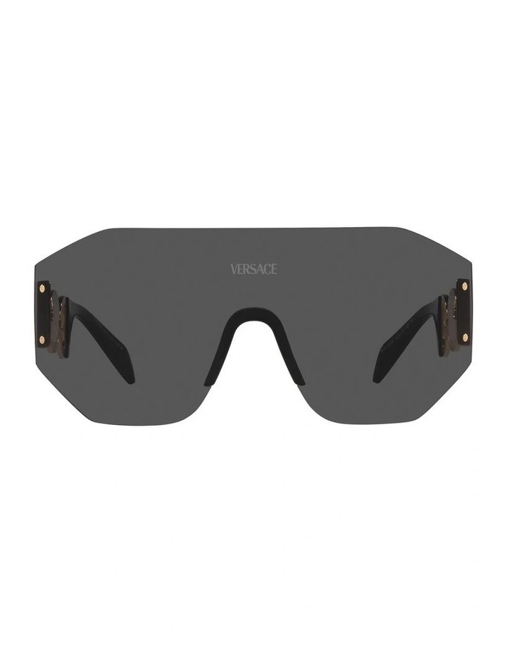 VE2258 Sunglasses in Grey