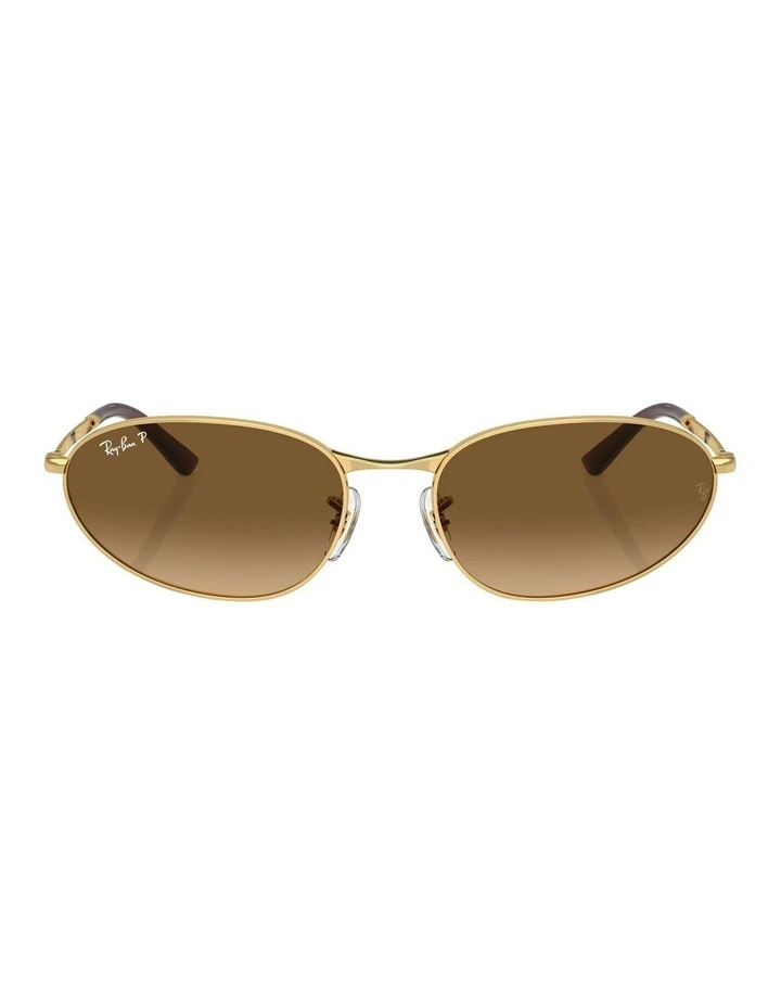 RB3734 Polarised Sunglasses in Gold