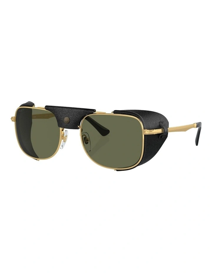 Polarised PO1013SZ Sunglasses in Gold