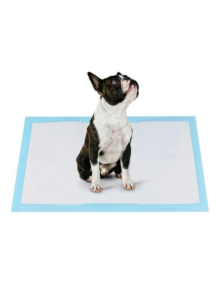 Absorbent Training Pad 60x60cm 50 Pack in Blue