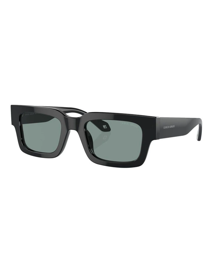 AR8184U Sunglasses in Black