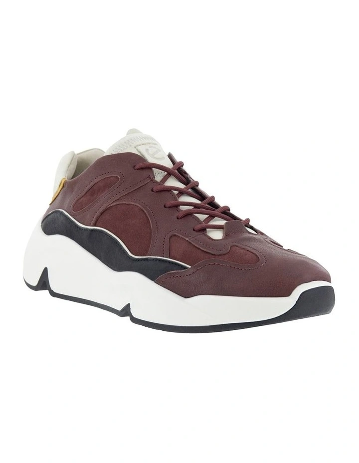Chunky Colour Pops Sneaker In Dark Brown