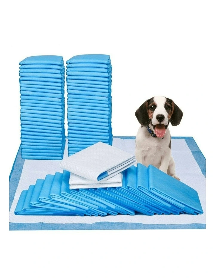 Absorbent Training Pad 60x60cm 50 Pack in Blue