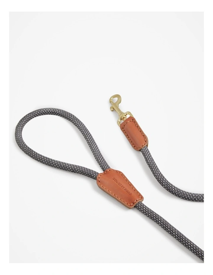 Alfie Recycled Polyester Small Pet Lead in Lake Grey