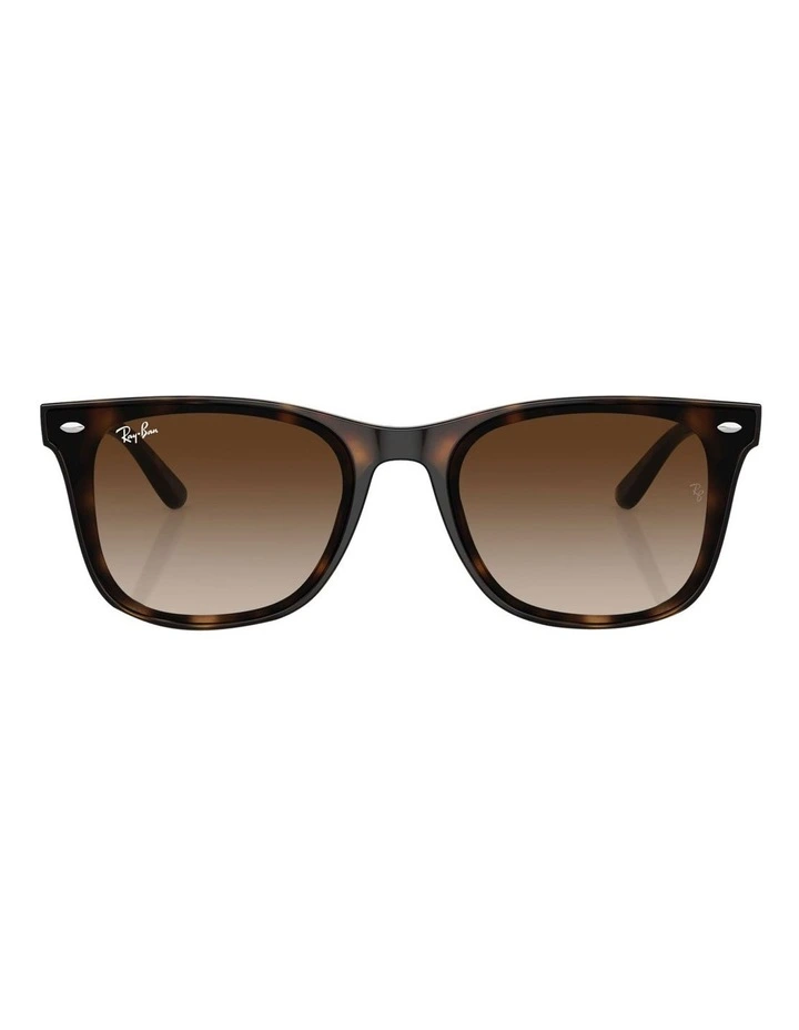 RB4420 Sunglasses in Tortoise