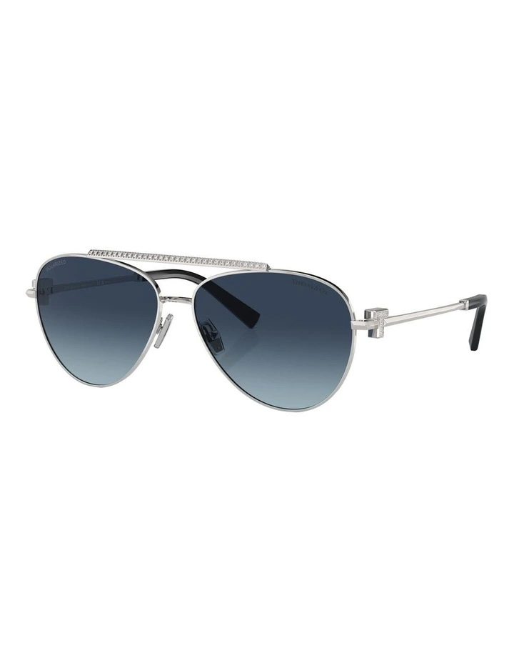 TF3101B Polarised Sunglasses in Silver
