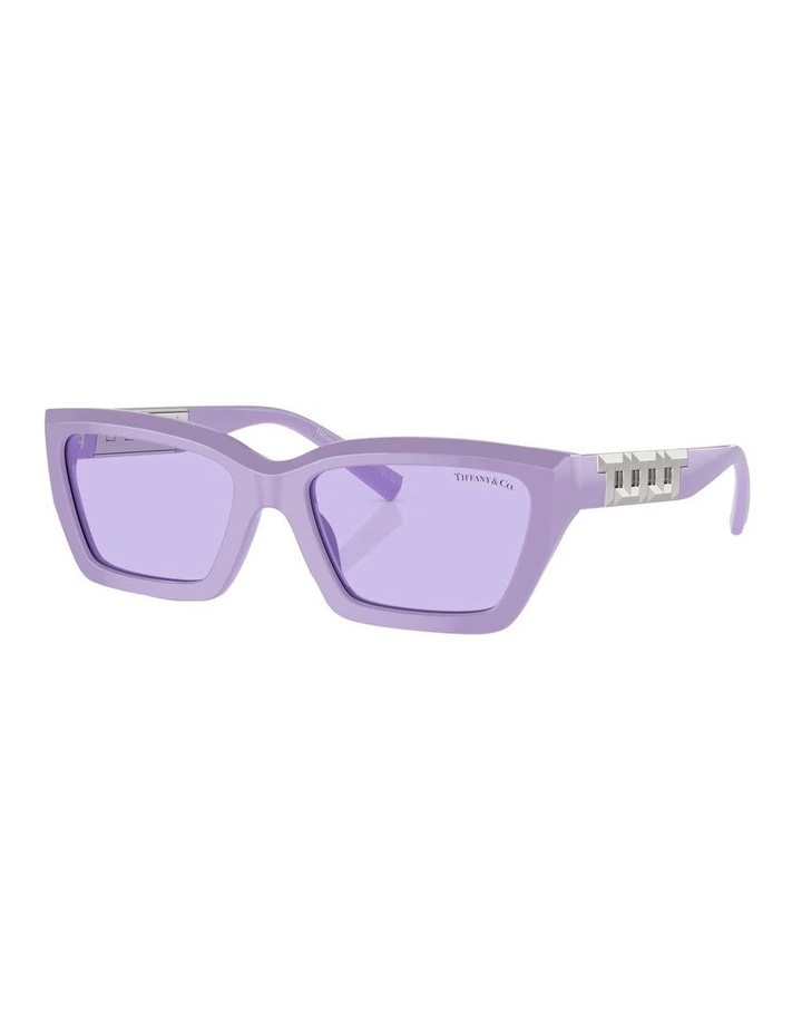 TF4213 Sunglasses in Violet
