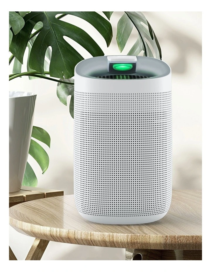 2-in-1 Air Purifier and Dehumidifier in White