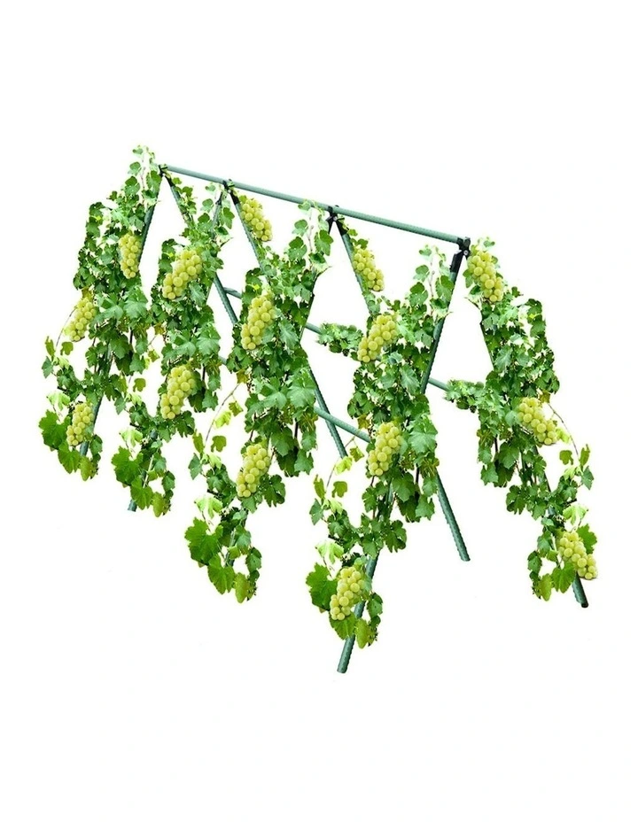 Trellis Plant Frame Tube 120x90cm in Green
