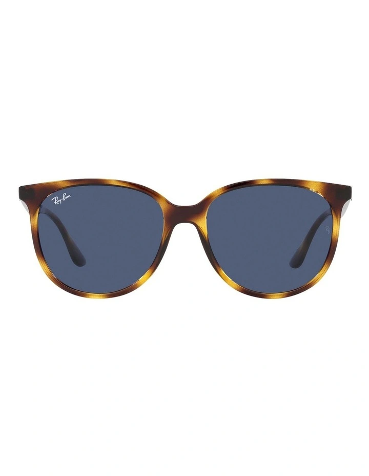 RB4378 Tortoise Sunglasses in Brown