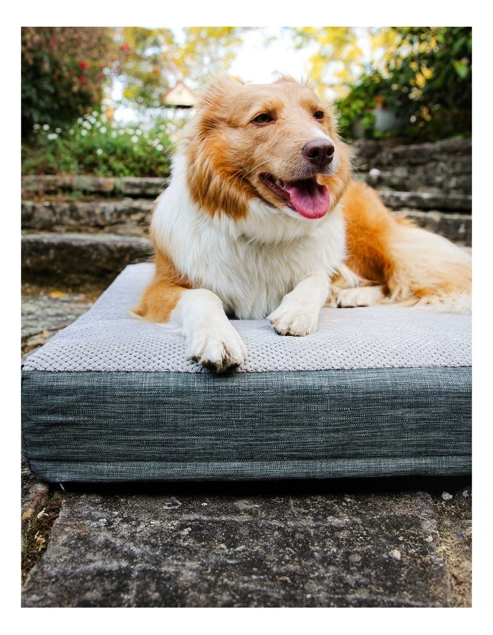 Universal Dog Orthopedic Foam Crate Mattress Bed in Grey