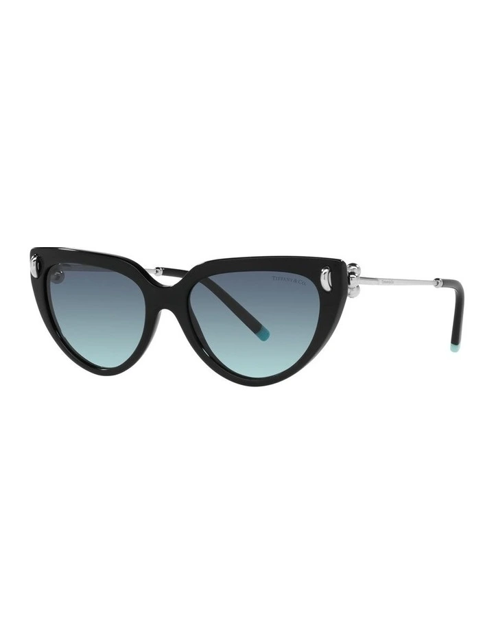 0TF4195 Sunglasses in Black