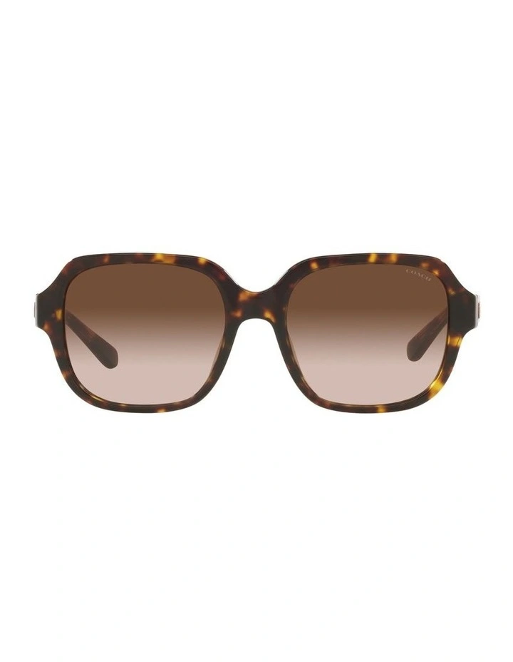 HC8335U C7989 Tortoise Sunglasses
