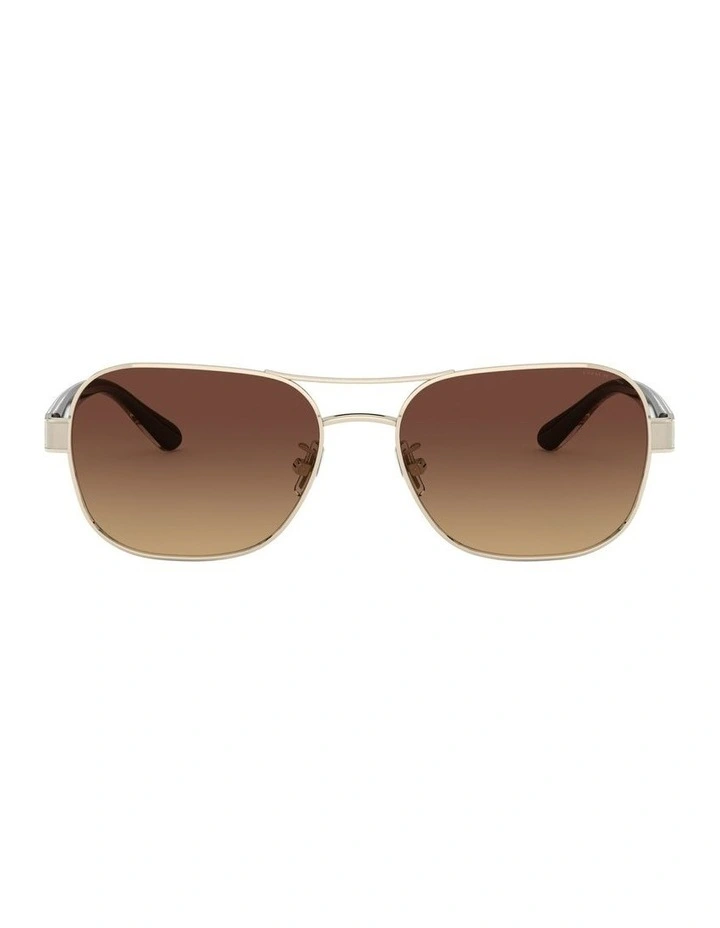 HC7116 L1151 Gold Polarised Sunglasses