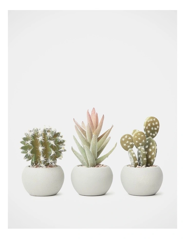 3 Pack of Artificial Mini Succulent Plants 14cm in Multi