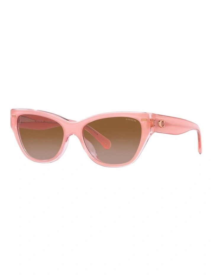 CH570 Sunglasses in Pink