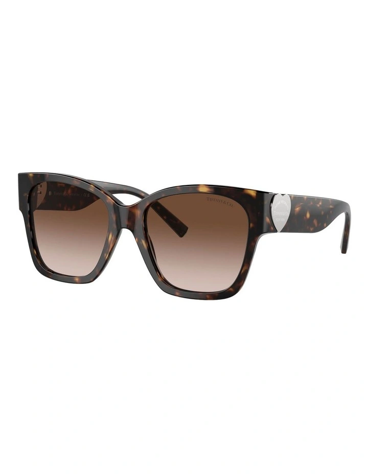 Larry Sunglasses in Grey