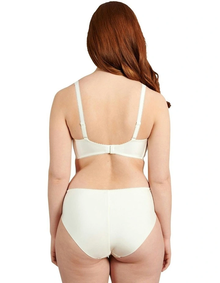 Ariane Classic Lace & Microfiber Brief in Ivory