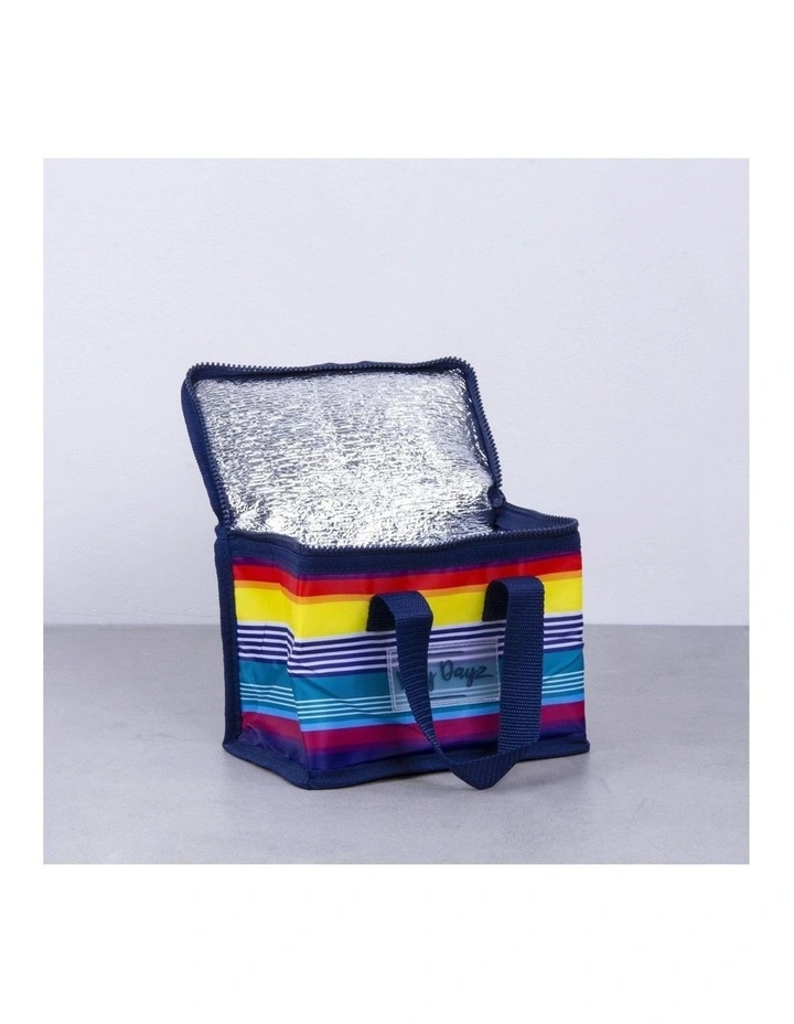 Food Safe Insulated Lunch Box Cooler in Rainbow