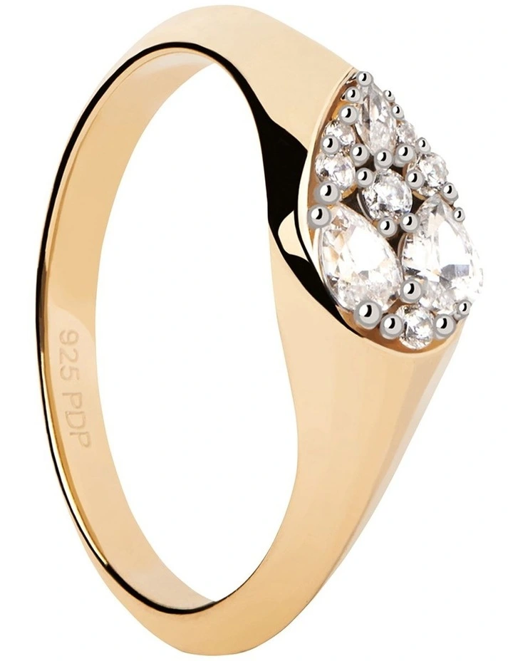 Vanilla Ring 14 in Gold