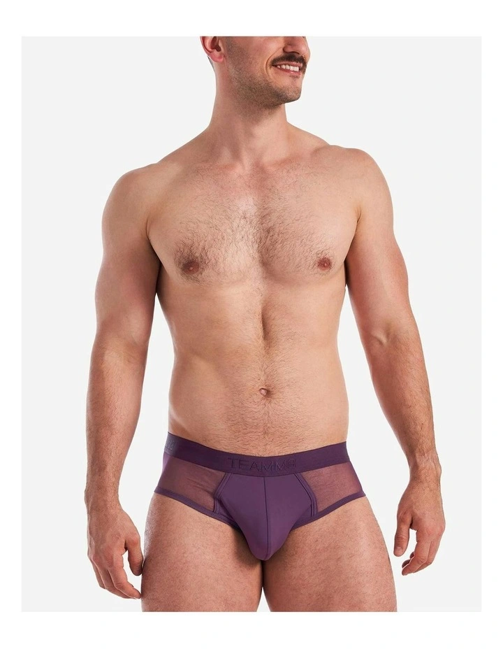 Score Sheer Brief in Plum Purple