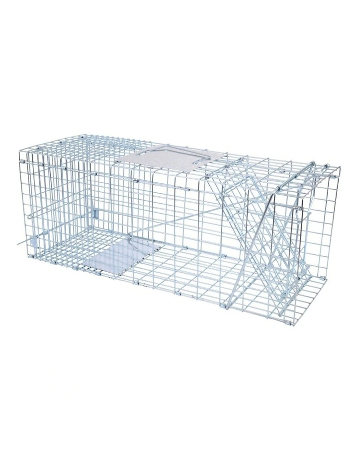 Animal Trap in Multi