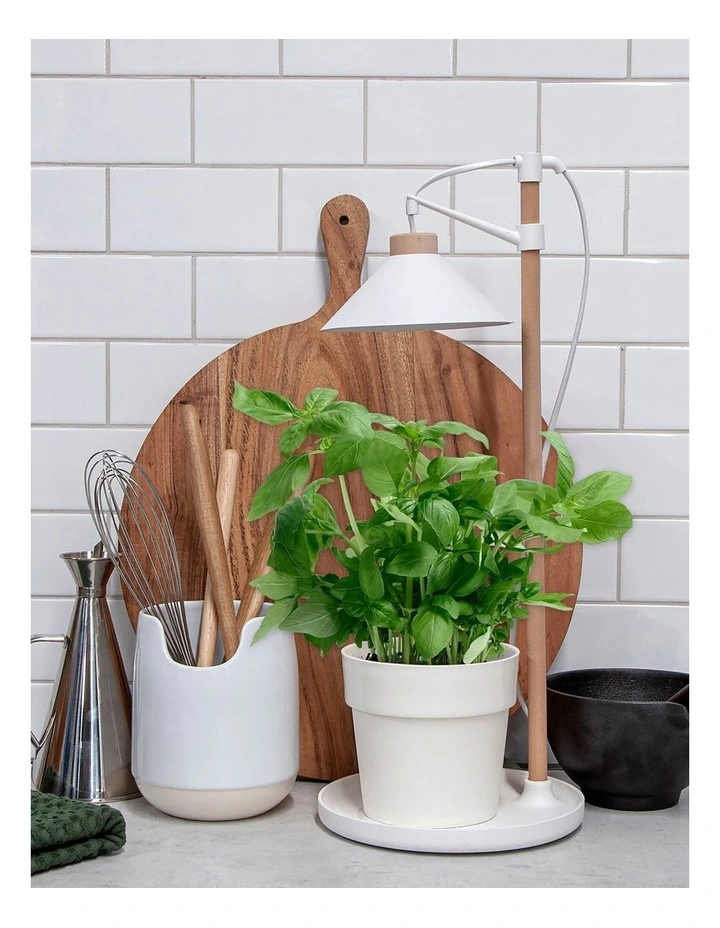 Table Grow Lamp